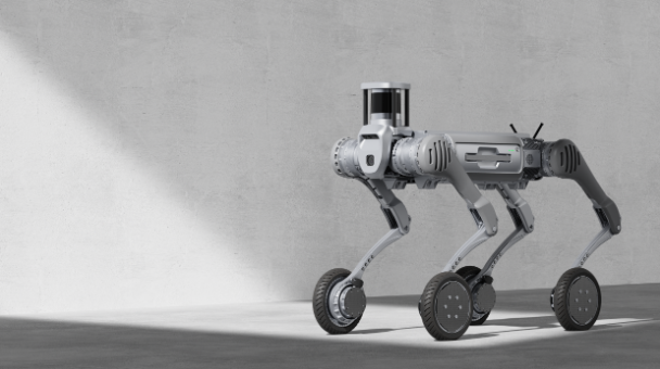 Robot
